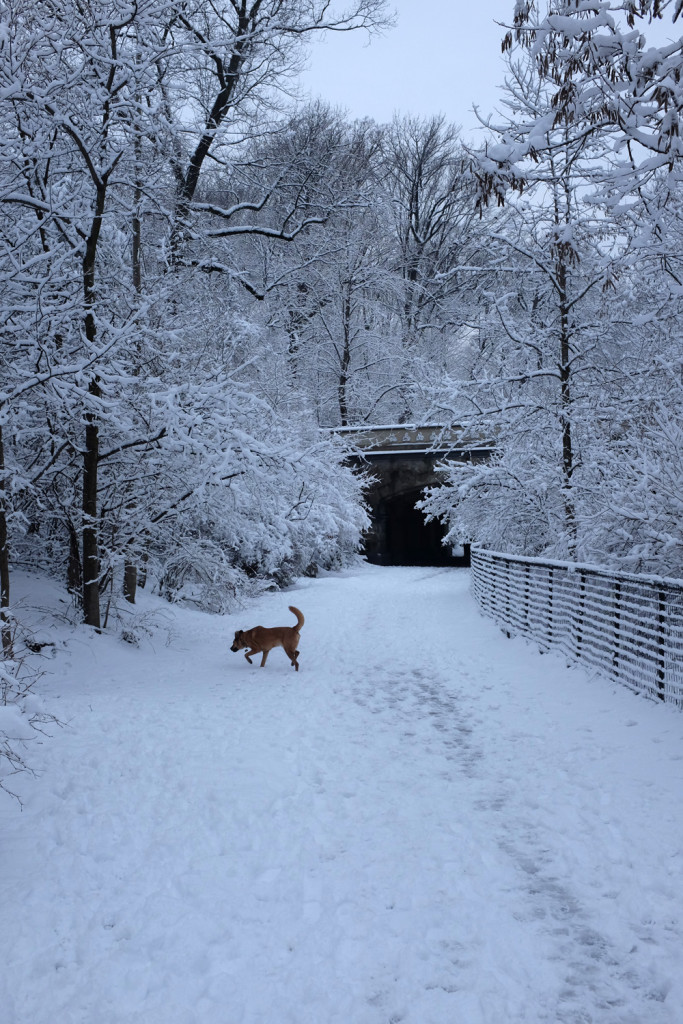Prospect Park in snow, 21 March 2015
