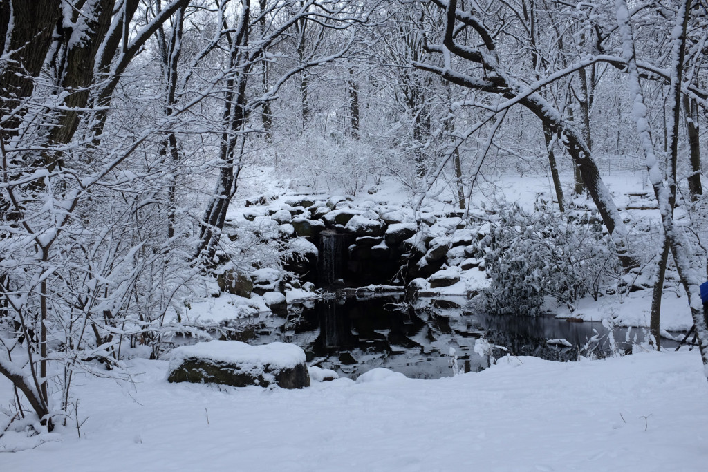 Prospect Park in snow, 21 March 2015
