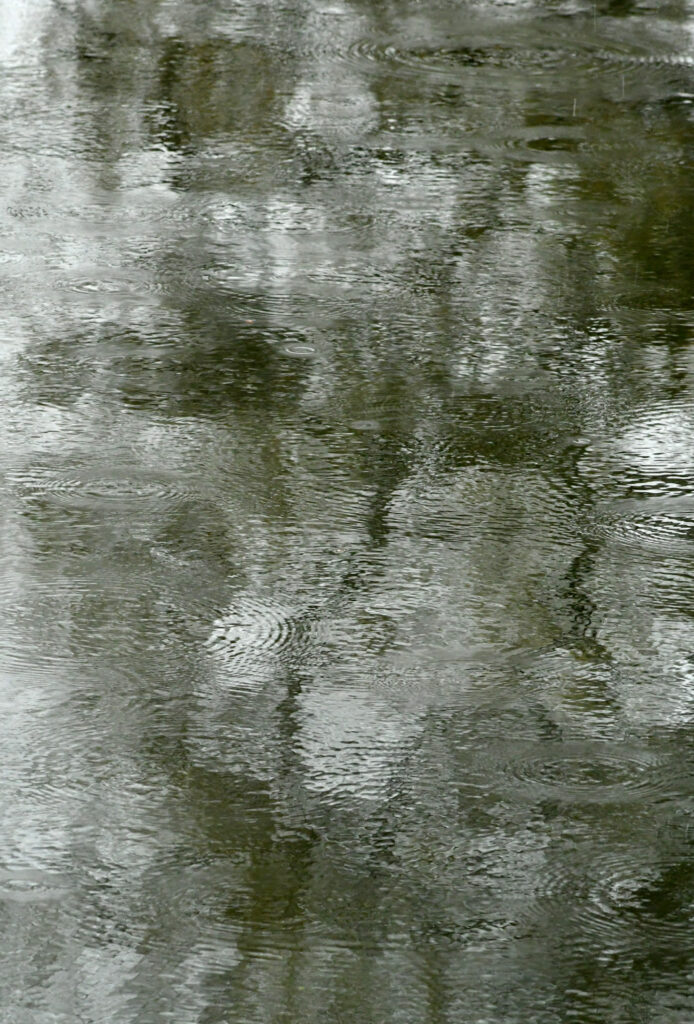 Hail on Lullwater, Prospect Park