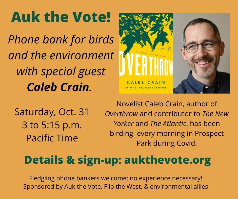 Come phone-bank with me on Halloween! Come phone-bank with me on Halloween!