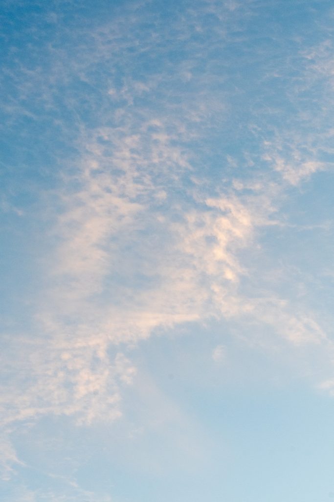 Cirrocumulus lacunosus