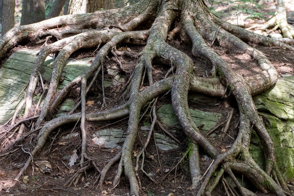 North-South Lake, Greene Co., NY
