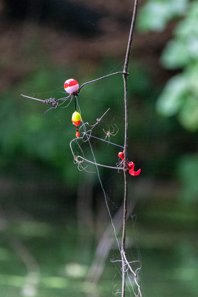 Tangled fishing lines and spider web, Prospect Park