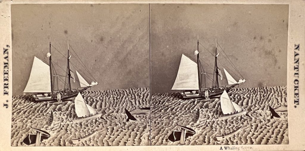 A stereogram titled A Whaling Scene, by J. Freeman of Nantucket, showing two images of a diorama in which three whale boats have left their bark to pursue sperm whales, one of which is lolling upside-down with splinters of a whaleboat in its jaws
